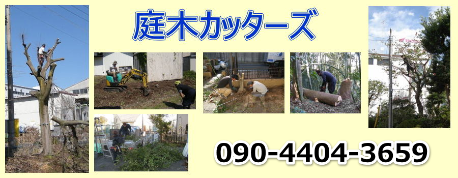 庭木カッターズ | 岐阜県関市の庭木の伐採を承ります。
